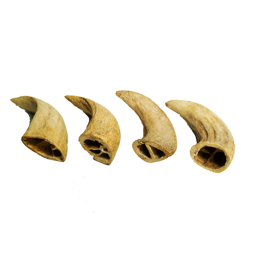 Water Buffalo Horn Core Chews – Crunchy Single‑Ingredient Treats (2 Count) | Rozie’s Naturals
