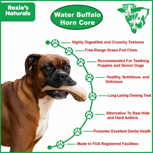 Water Buffalo Horn Core Chews – Crunchy Single‑Ingredient Treats (2 Count) | Rozie’s Naturals