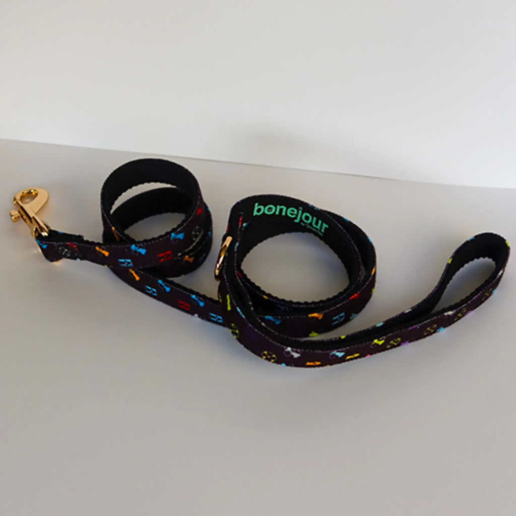 Standard Bonejour Leash – Eco‑Friendly Recycled Material Leash | The Green Pet Shop