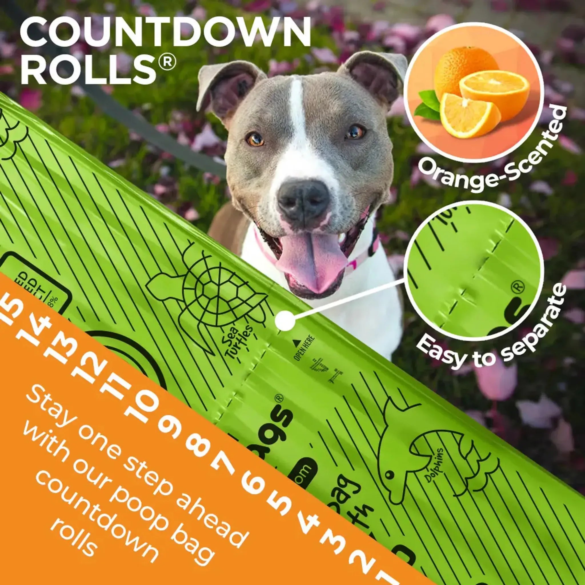 Orange‑Scented USDA Biobased Countdown Rolls – 15‑Count Poop Bags | The Original Poop Bags