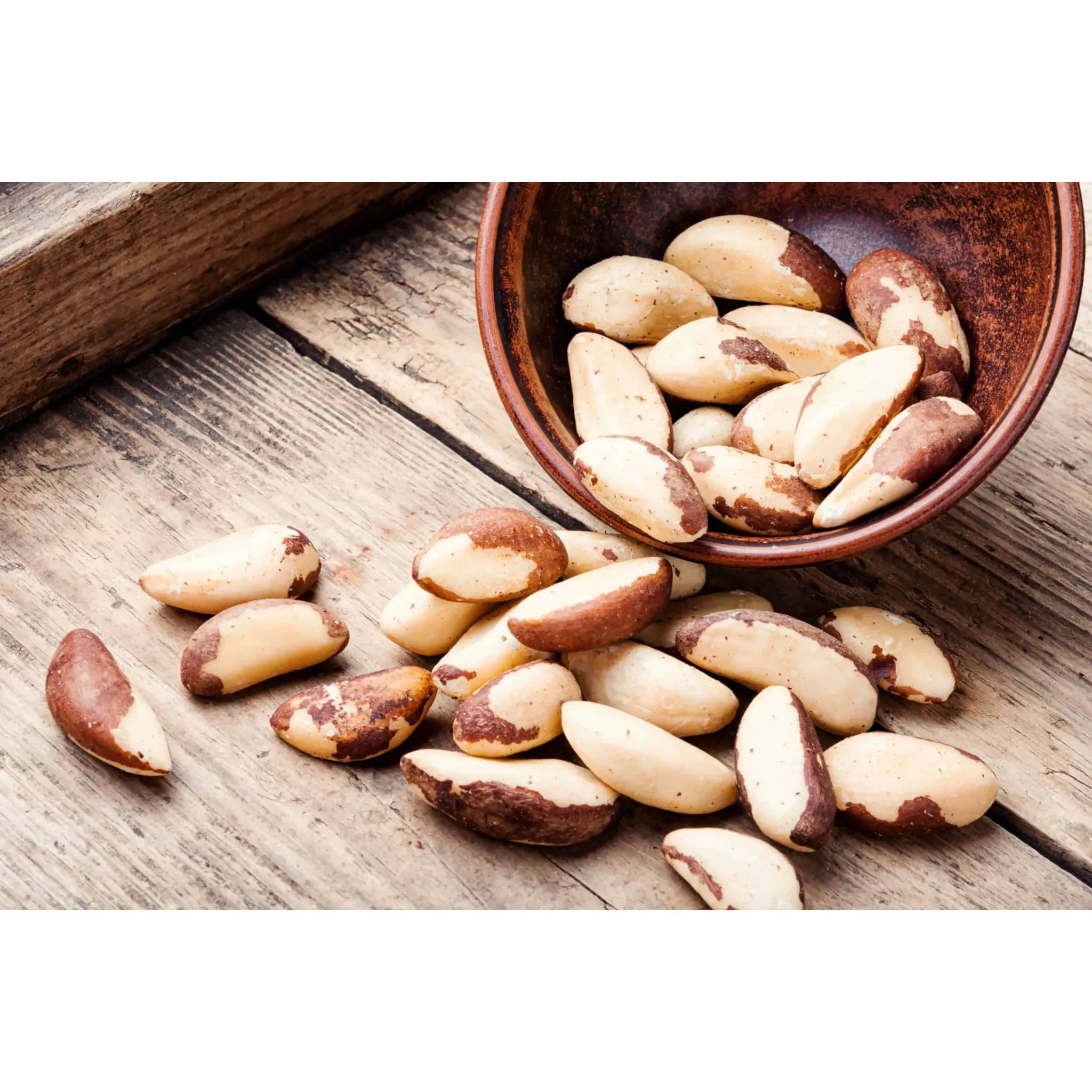 Brazil Nut Powder – Skin, Coat & Weight Support | The Petz Kitchen