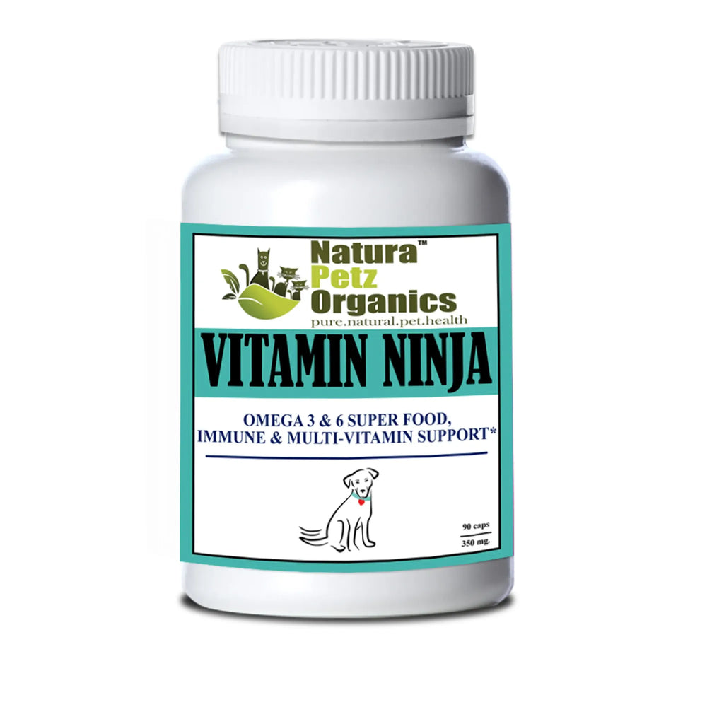 Goat’s Milk + Bone Broth Berry Max – Antioxidant Vision & Glucose Support | The Petz Kitchen