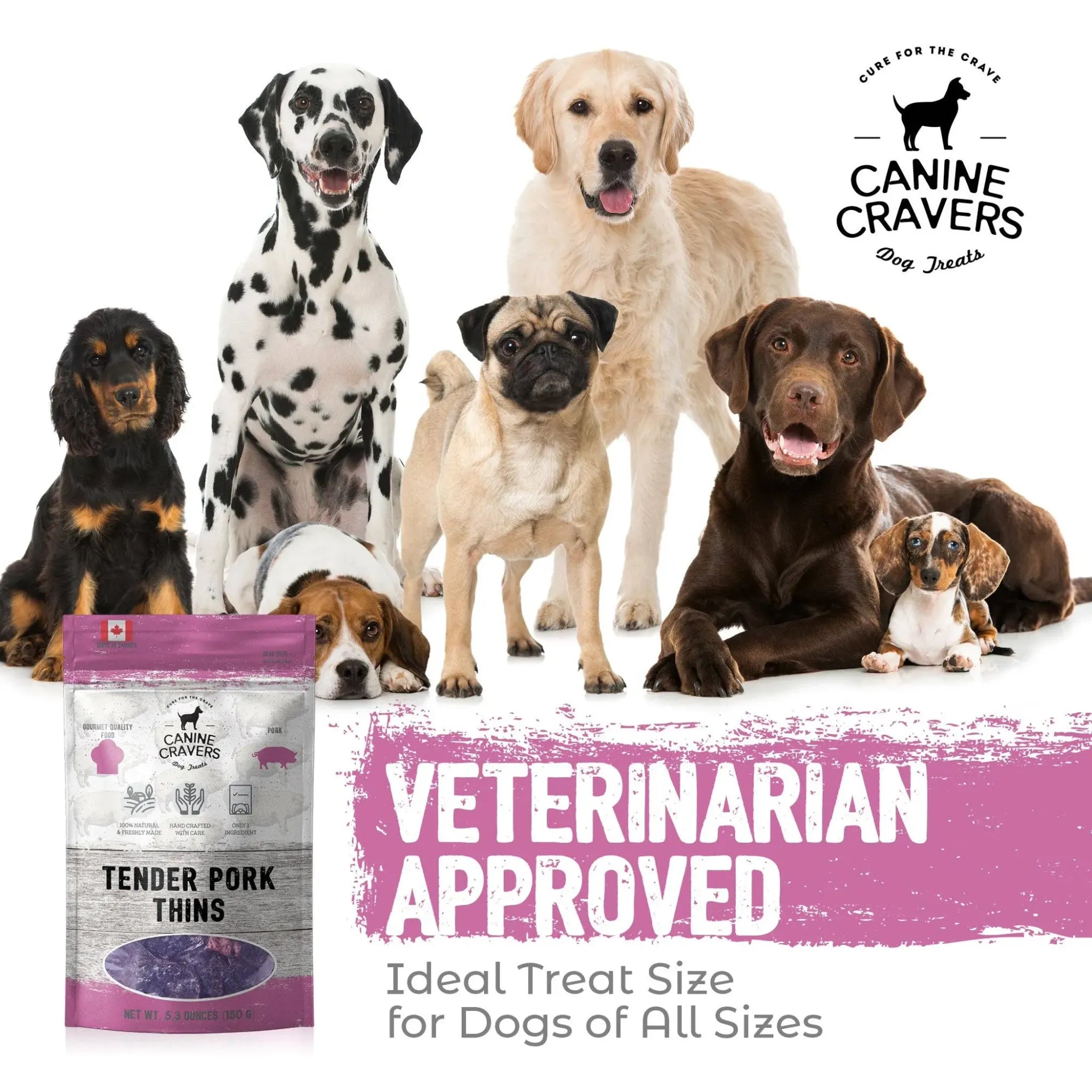 Tender Pork Thins – Single‑Ingredient Air‑Dried Treats | Canine Cravers