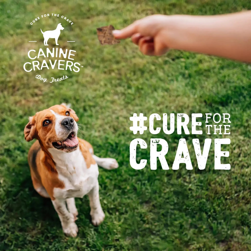 Premium Lamb Fillets – Single‑Ingredient Air‑Dried Treats | Canine Cravers