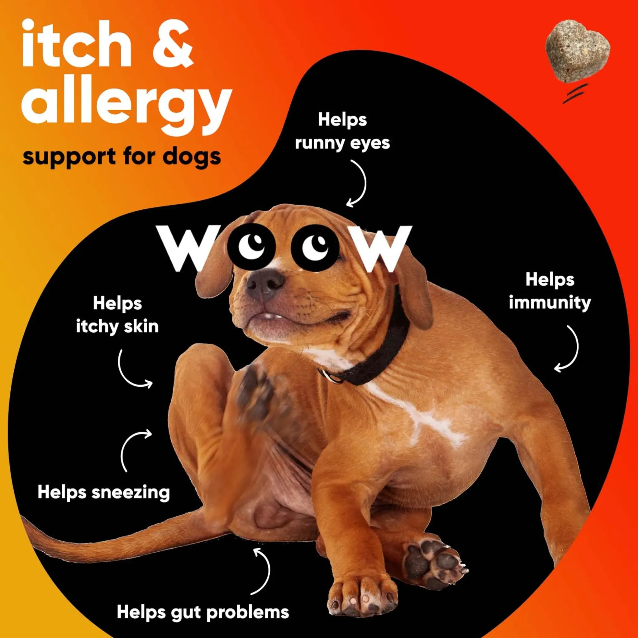Allergy & Immunity Support Soft Chews | Dr. Woow