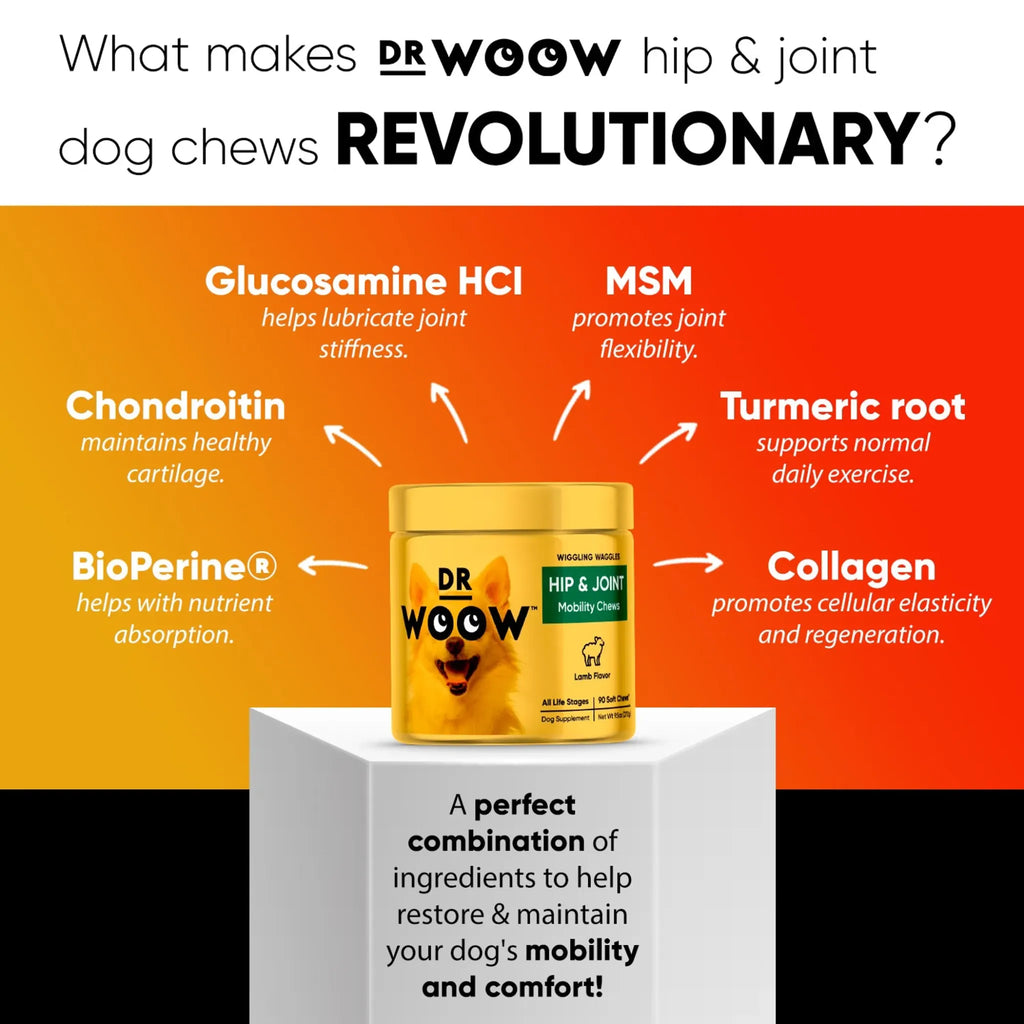 Hip & Joint Support Soft Chews | Dr. Woow