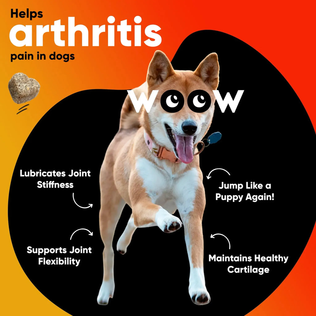 Hip & Joint Support Soft Chews | Dr. Woow