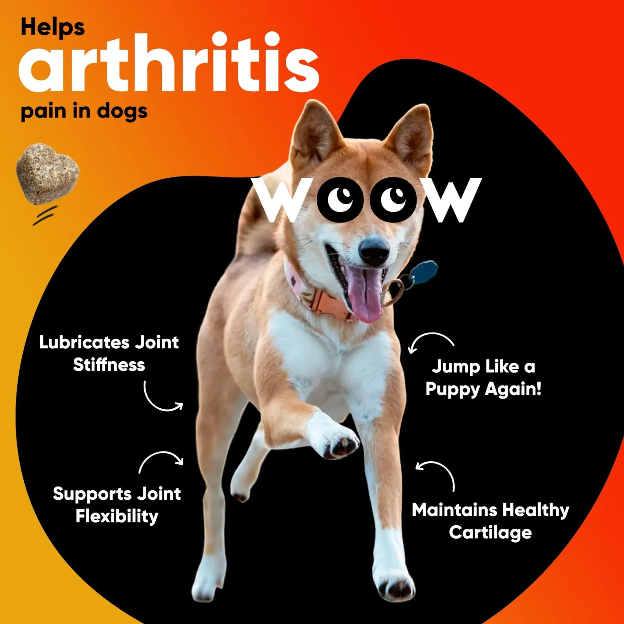 Hip & Joint Support Soft Chews | Dr. Woow