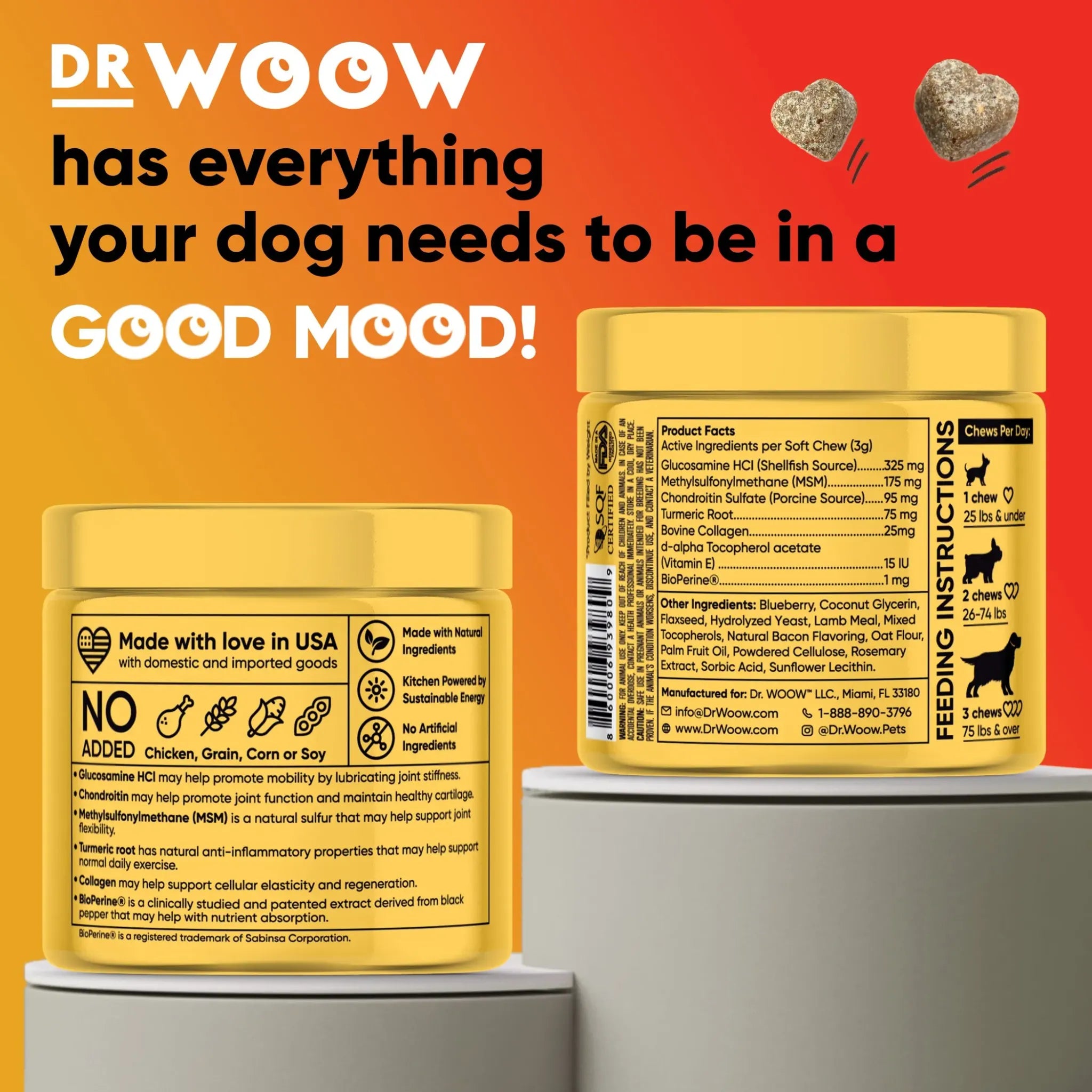 Hip & Joint Support Soft Chews | Dr. Woow