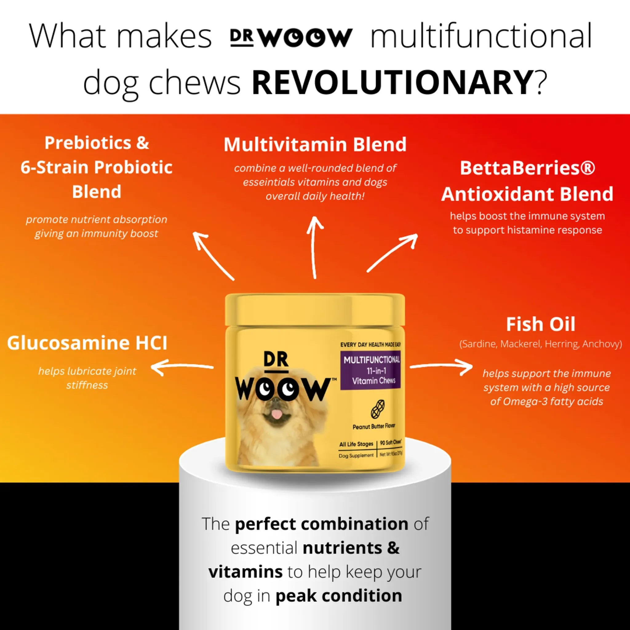 Multifunctional 11‑in‑1 Daily Vitamin Soft Chews | Dr. Woow