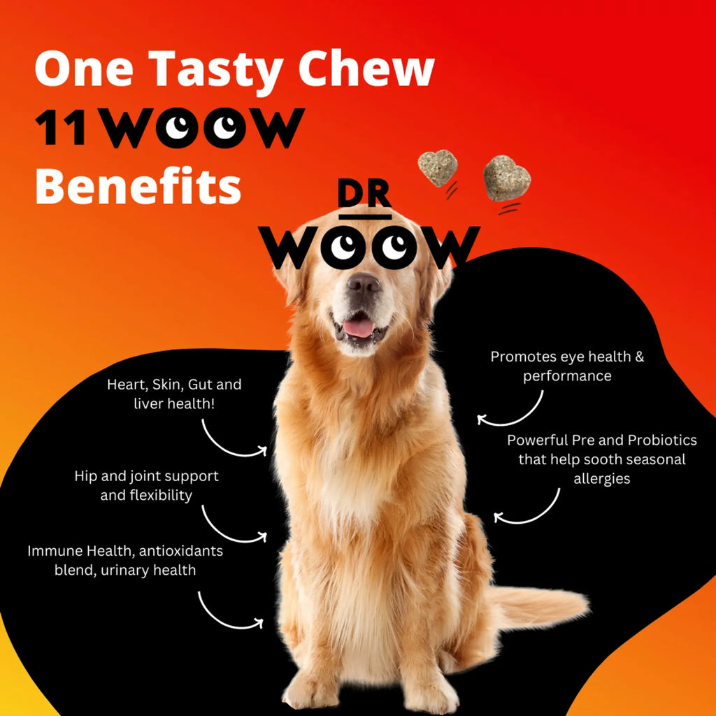Multifunctional 11‑in‑1 Daily Vitamin Soft Chews | Dr. Woow