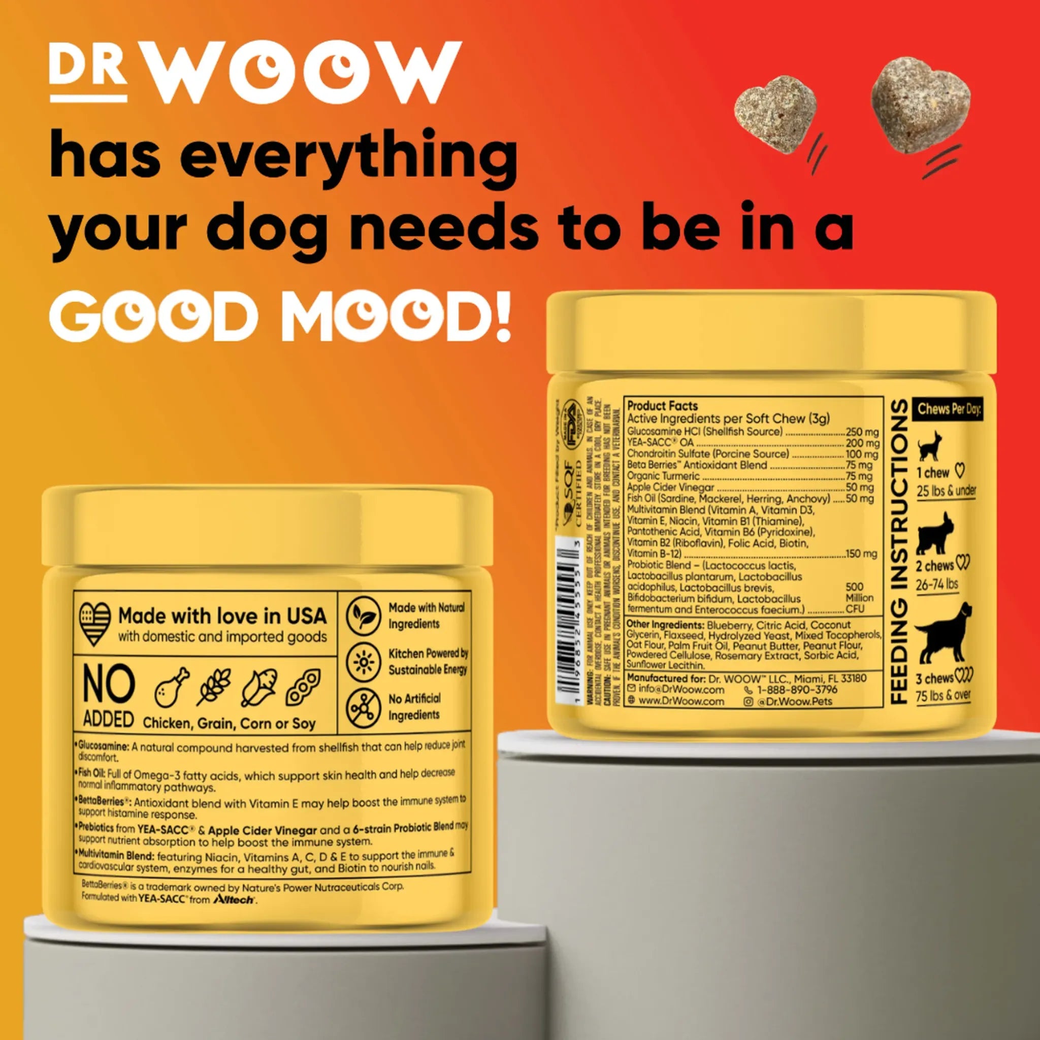 Multifunctional 11‑in‑1 Daily Vitamin Soft Chews | Dr. Woow