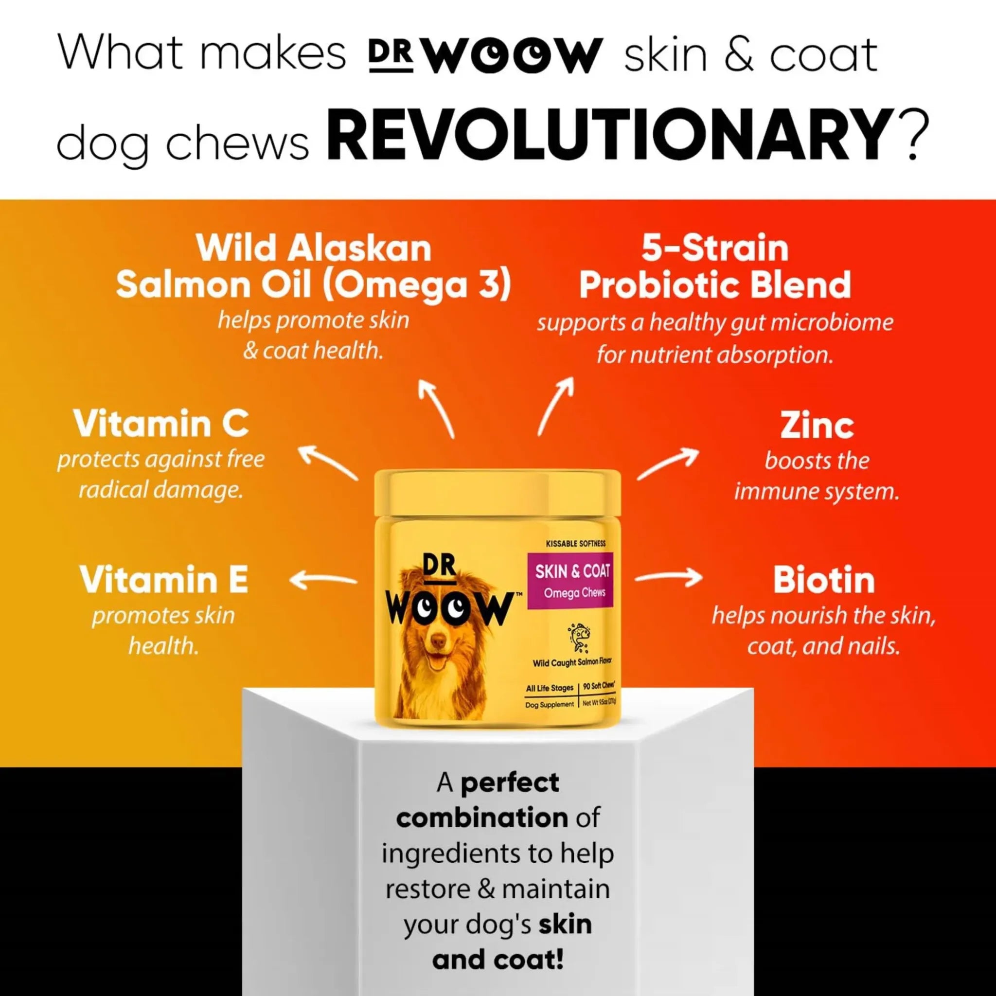 Skin & Coat Support Soft Chews | Dr. Woow