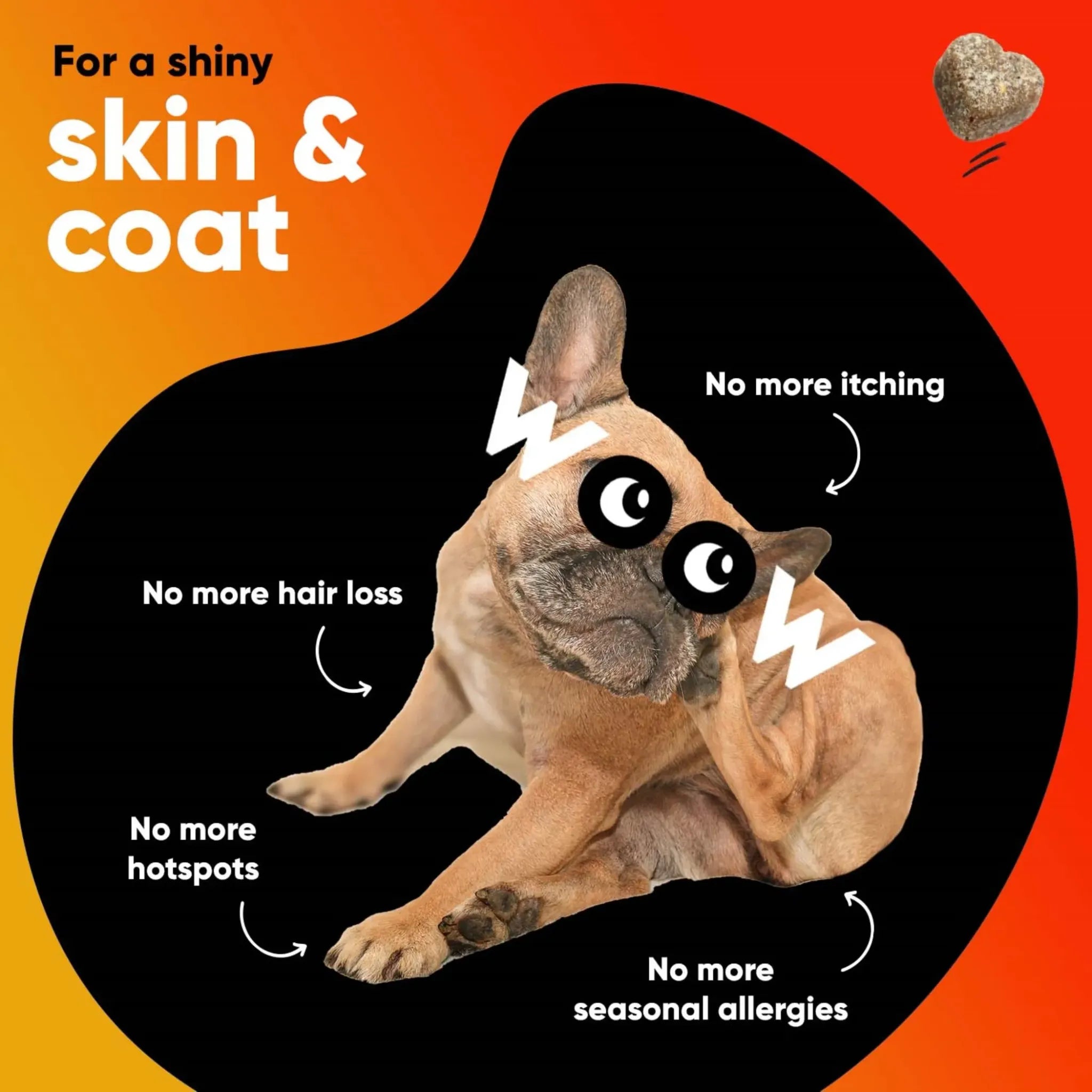 Skin & Coat Support Soft Chews | Dr. Woow