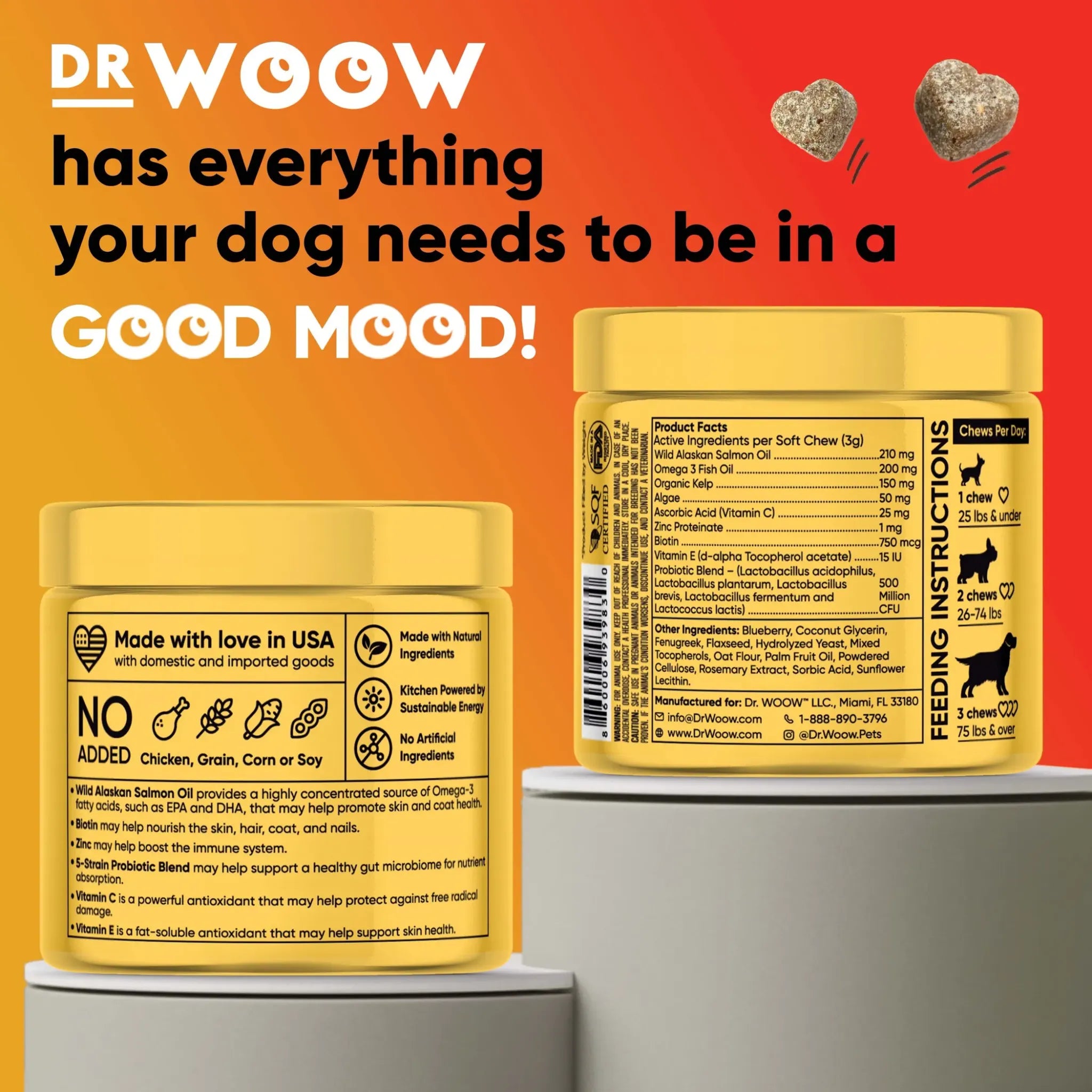 Skin & Coat Support Soft Chews | Dr. Woow