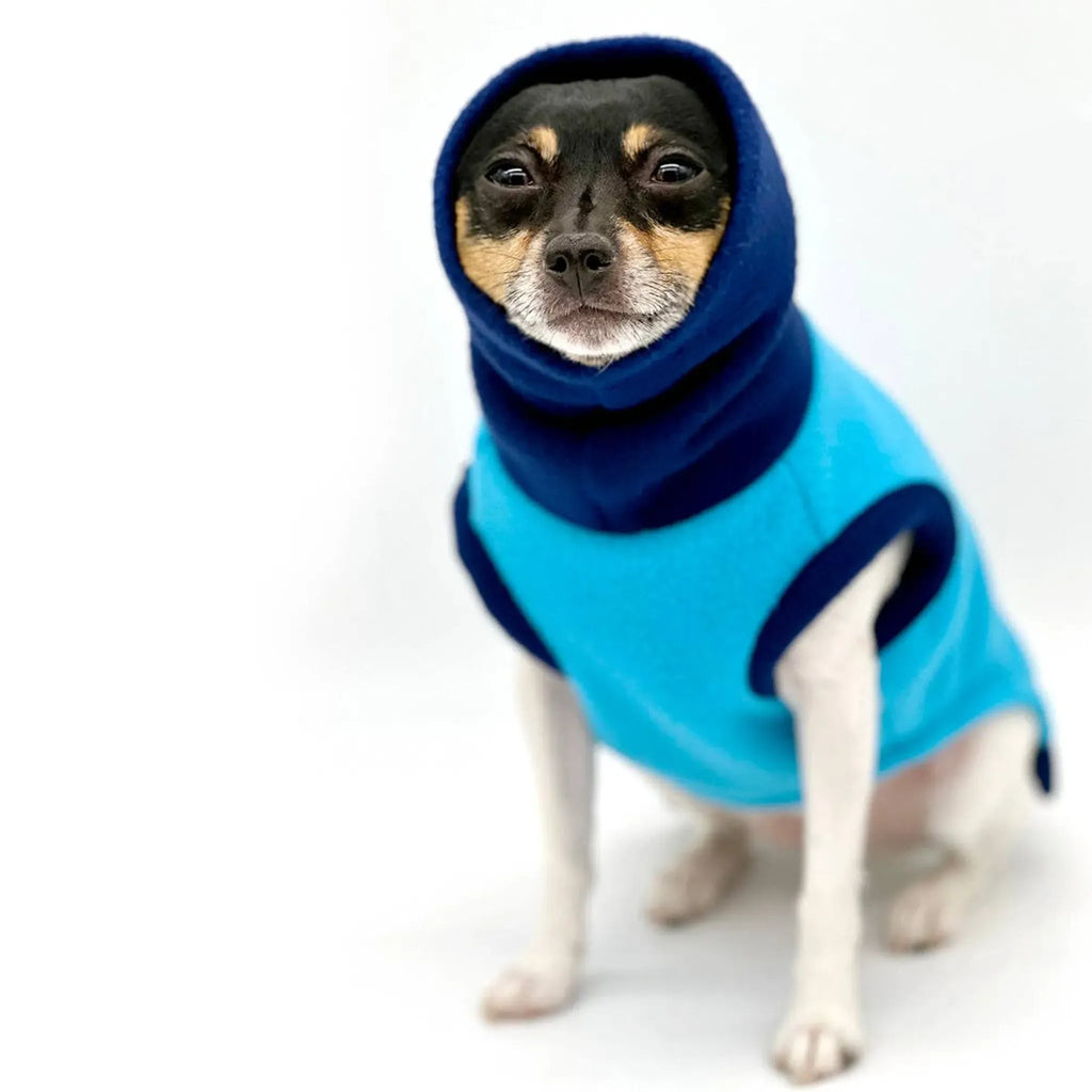 Two‑Tone Blue Longneck Sweater | DoggieCoutureNY