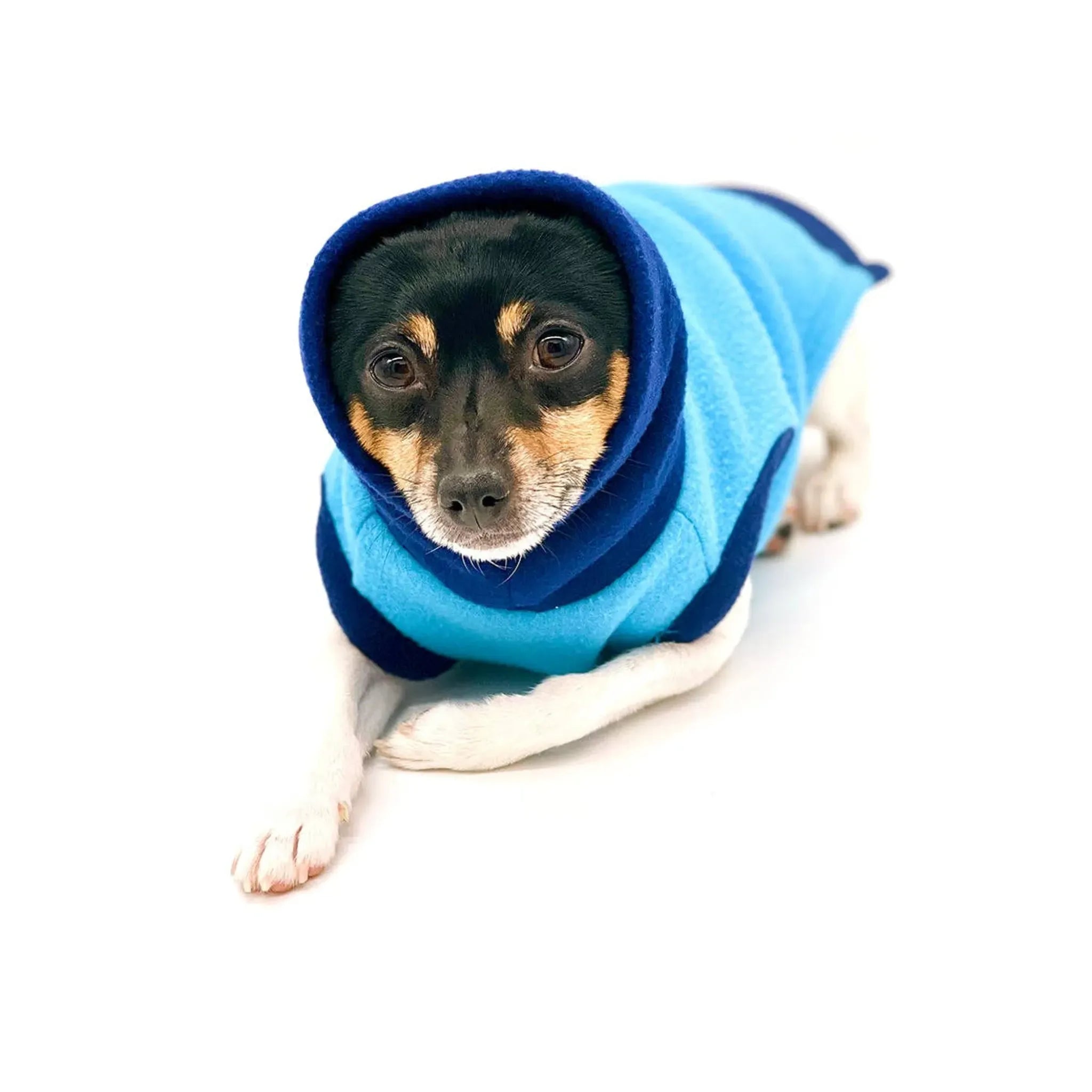 Two‑Tone Blue Longneck Sweater | DoggieCoutureNY