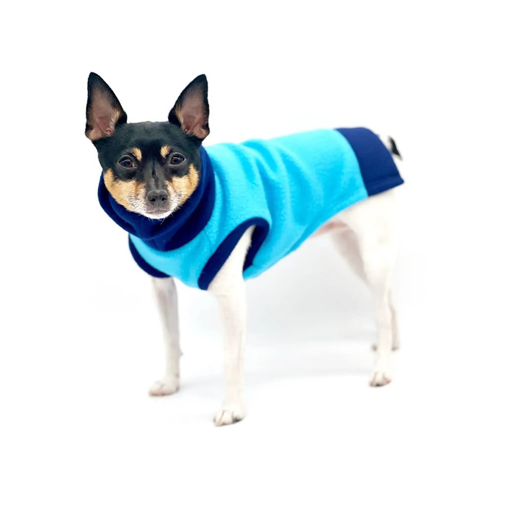 Two‑Tone Blue Longneck Sweater | DoggieCoutureNY