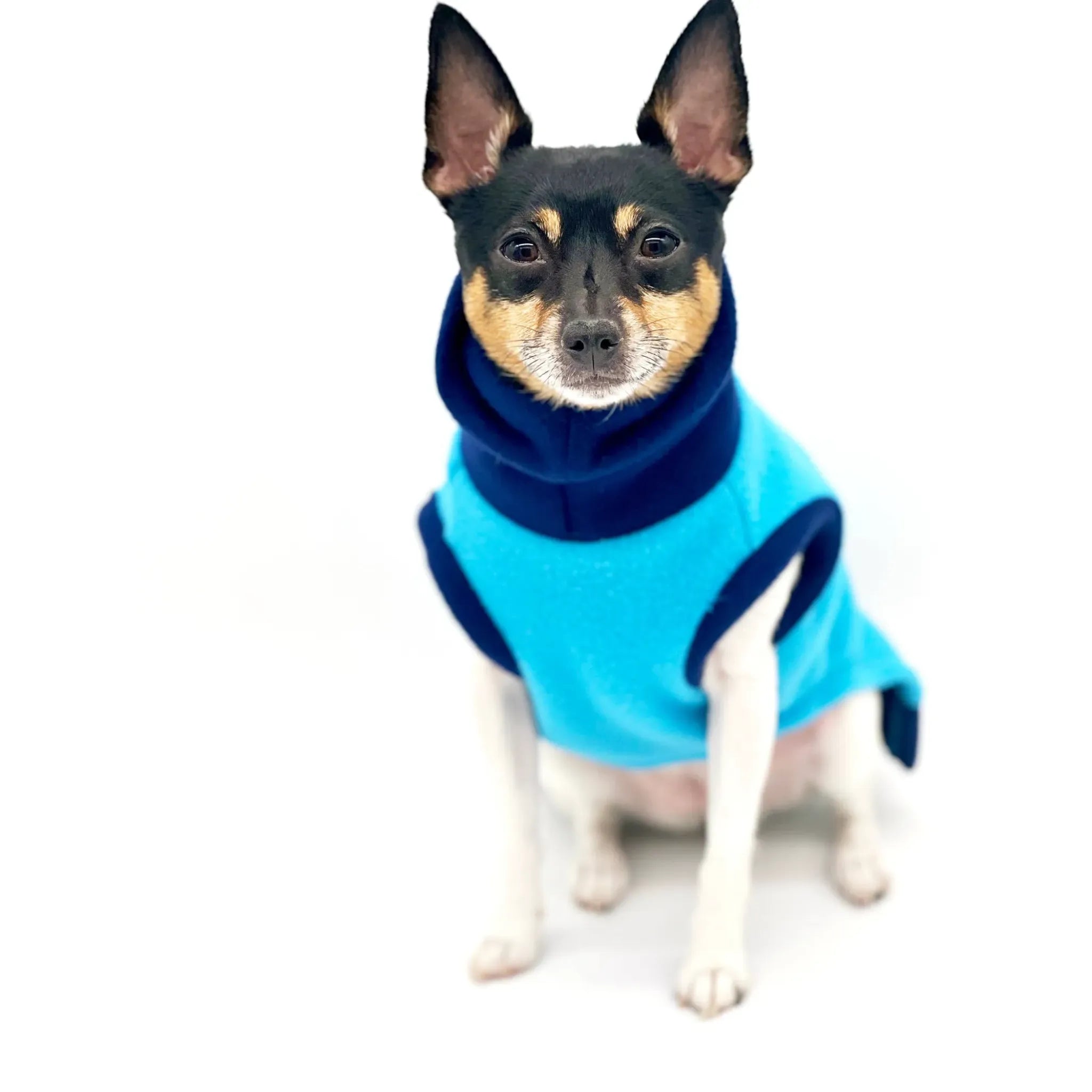 Two‑Tone Blue Longneck Sweater | DoggieCoutureNY