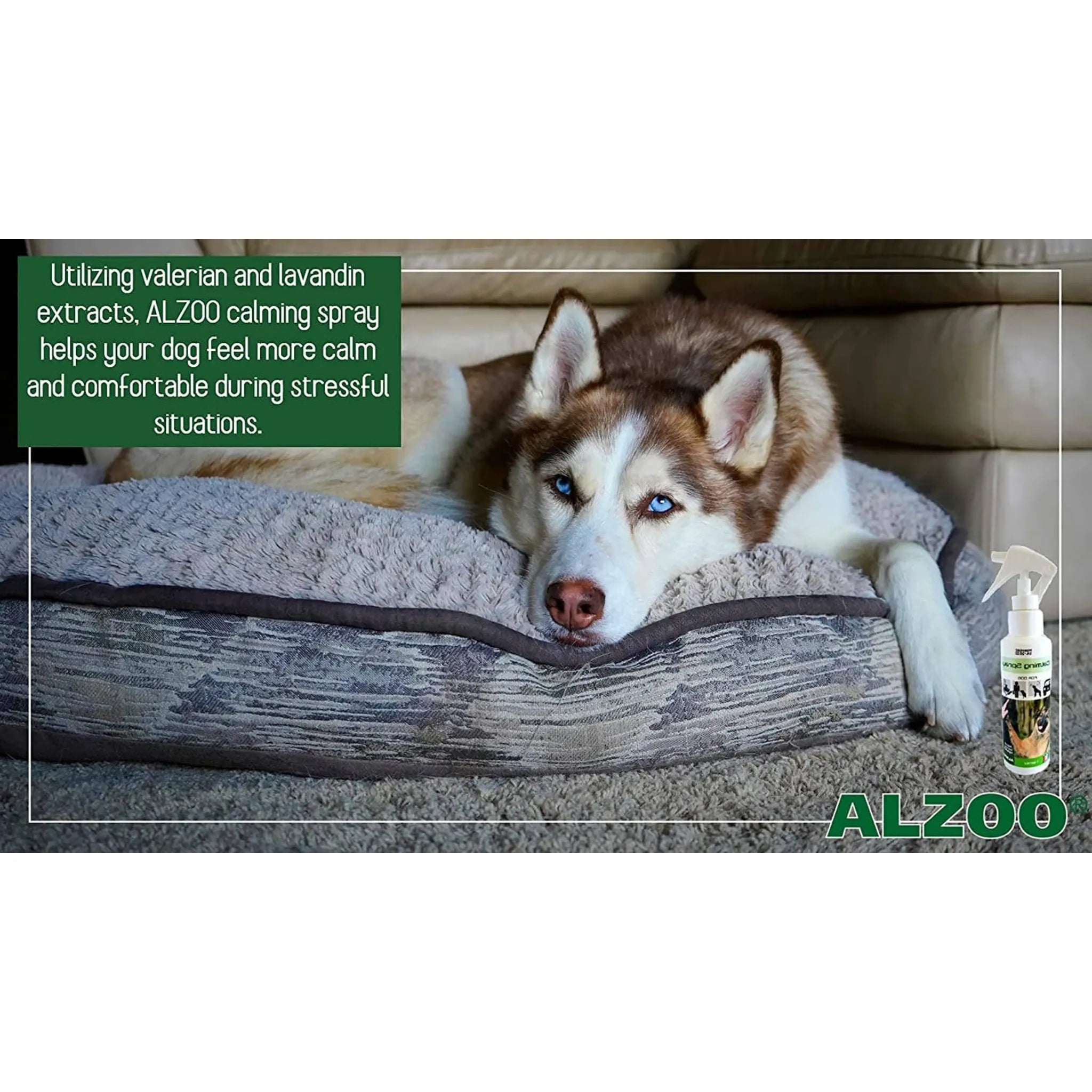 ALZOO Plant‑Based Calming Spray for Dogs – Valerian & Lavandin | ALZOO