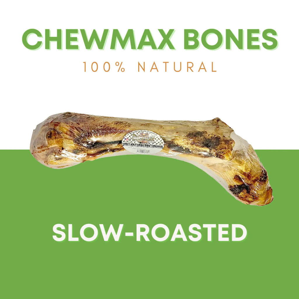 Slammer Beef Bone | ChewMax Pet Products