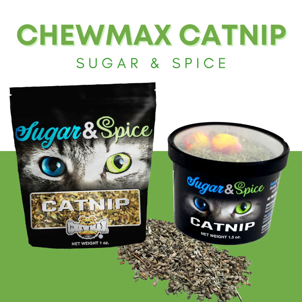 Catnip Container (1.5 oz) | ChewMax Pet Products