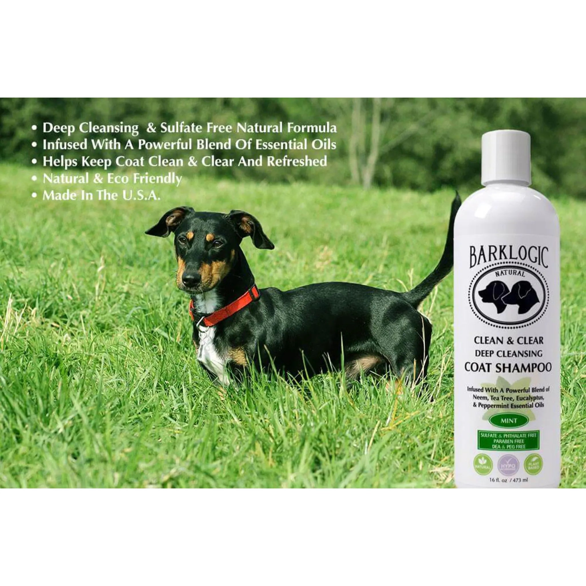Clean & Clear Deep Cleansing Coat Shampoo – Mint (16 oz) | BarkLogic