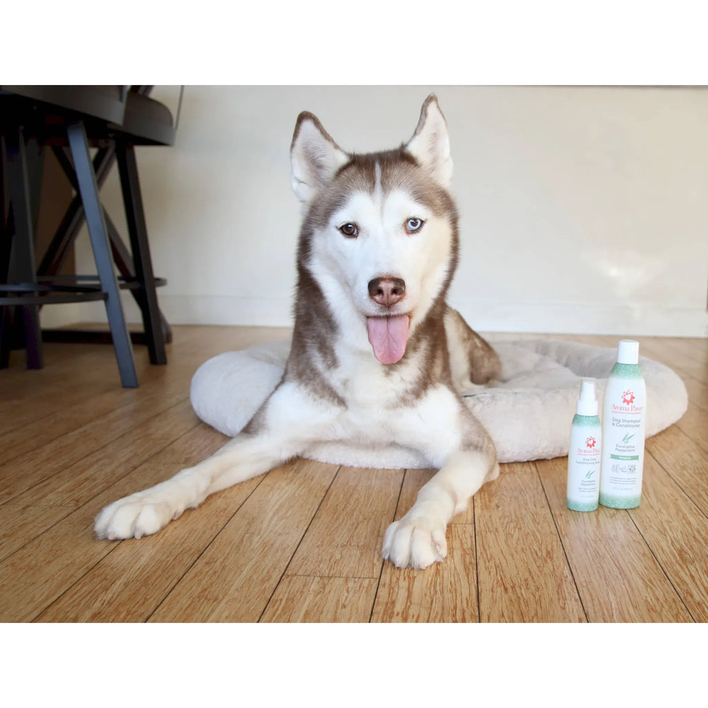 Eucalyptus Peppermint Energizing Shampoo & Conditioner | Aroma Paws