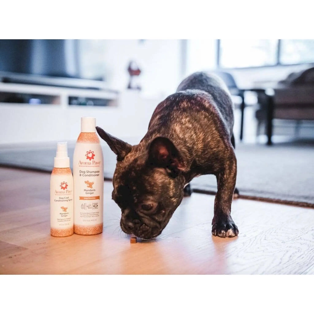Mandarin Ginger Deep Clean Shampoo & Conditioner | Aroma Paws
