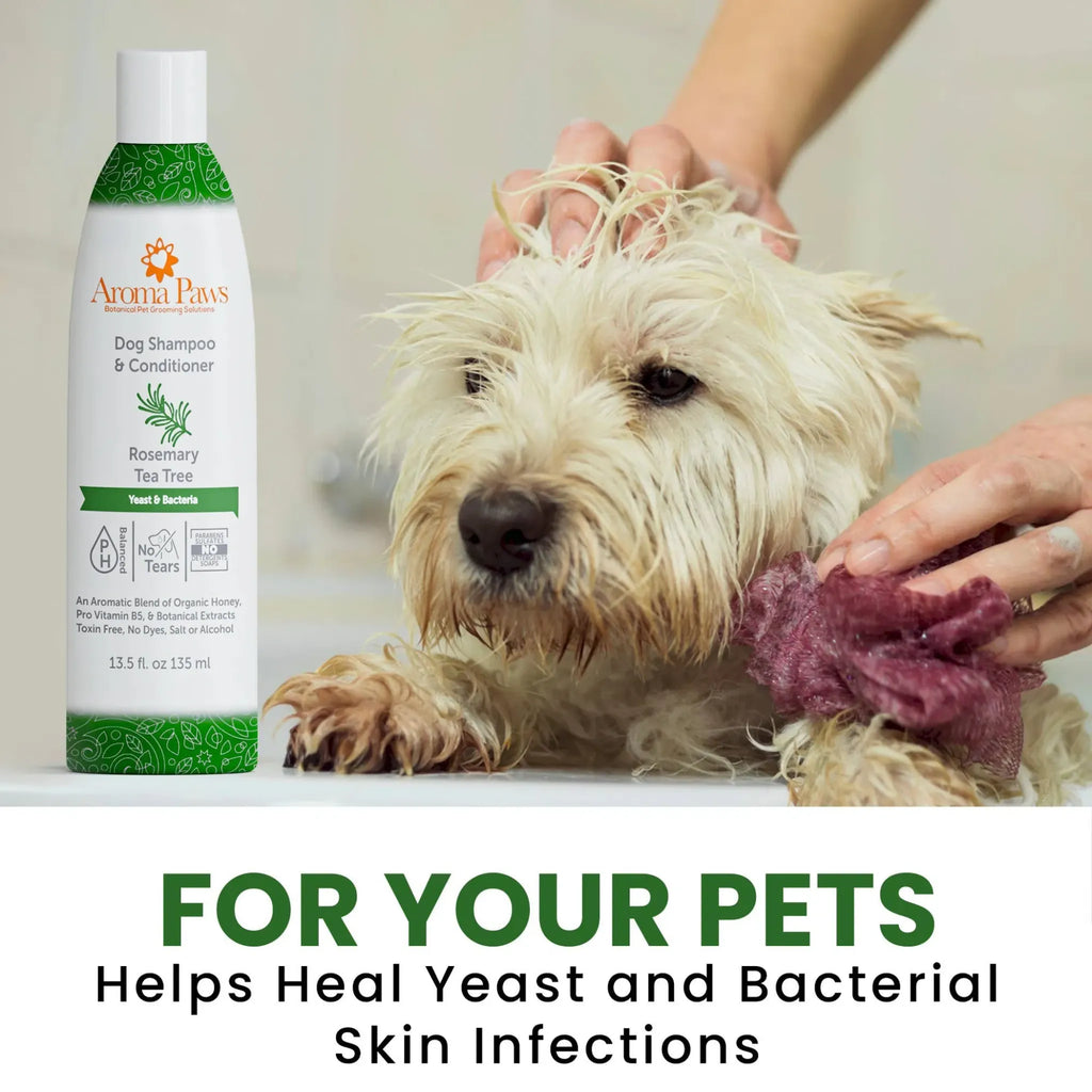 Rosemary Tea Tree Shampoo & Conditioner | Aroma Paws