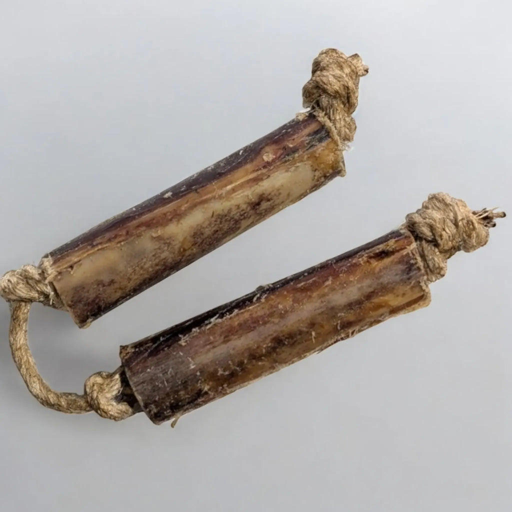 Ostrich Bone Chew with Rope – Durable Chew & Play Toy | Savannah Pet Food
