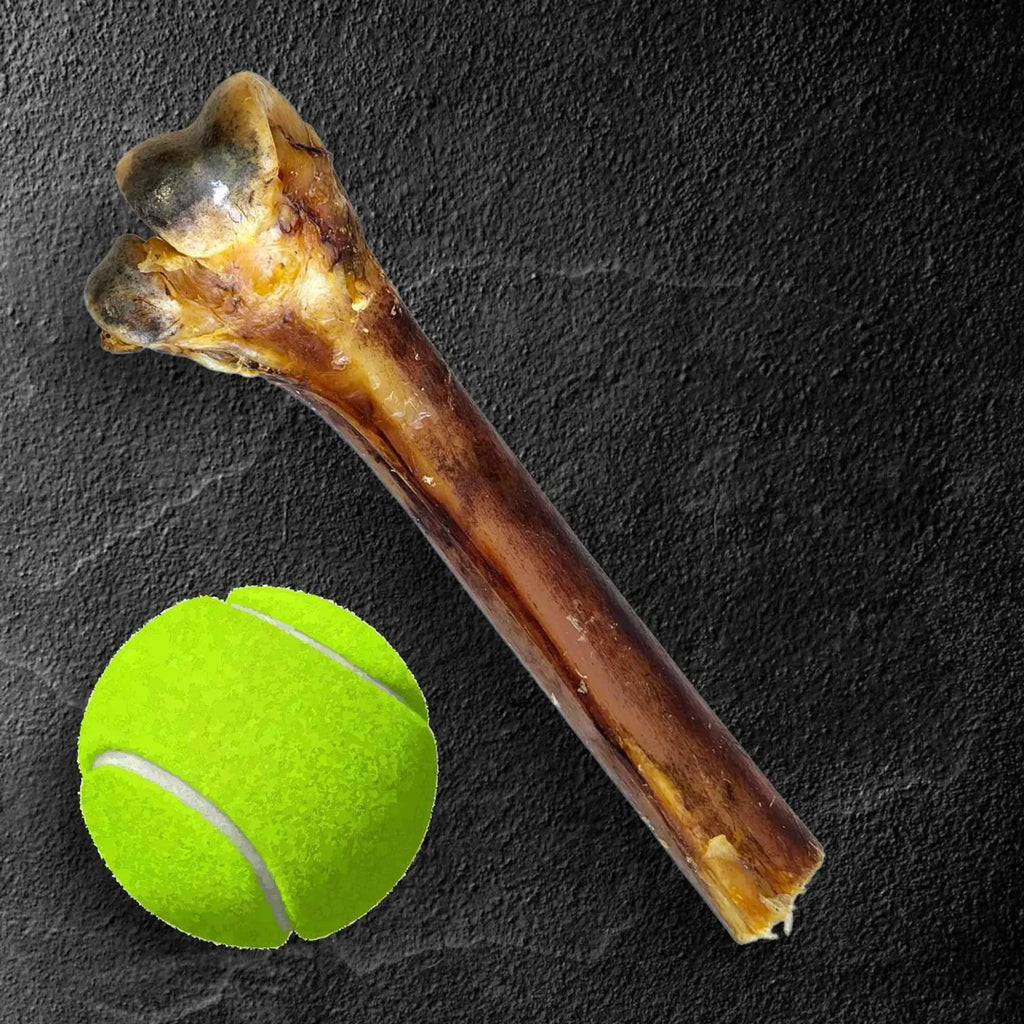 Medium Ostrich Cane – Long‑Lasting, Flavor‑Rich Chew for Medium & Large Dogs | Savannah Pet Food