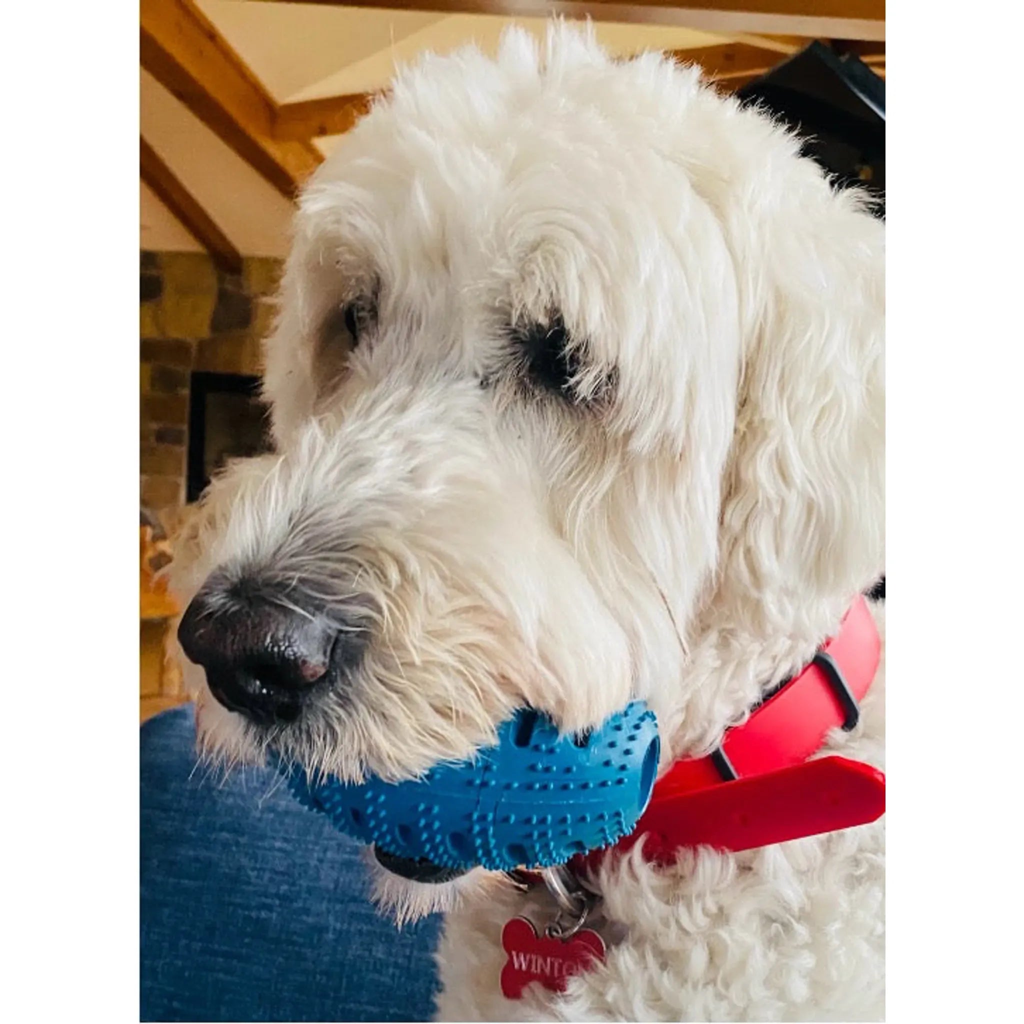 Natural Rubber Football Oral Care Toy | Dental Chew for Large Dogs | ChewMate
