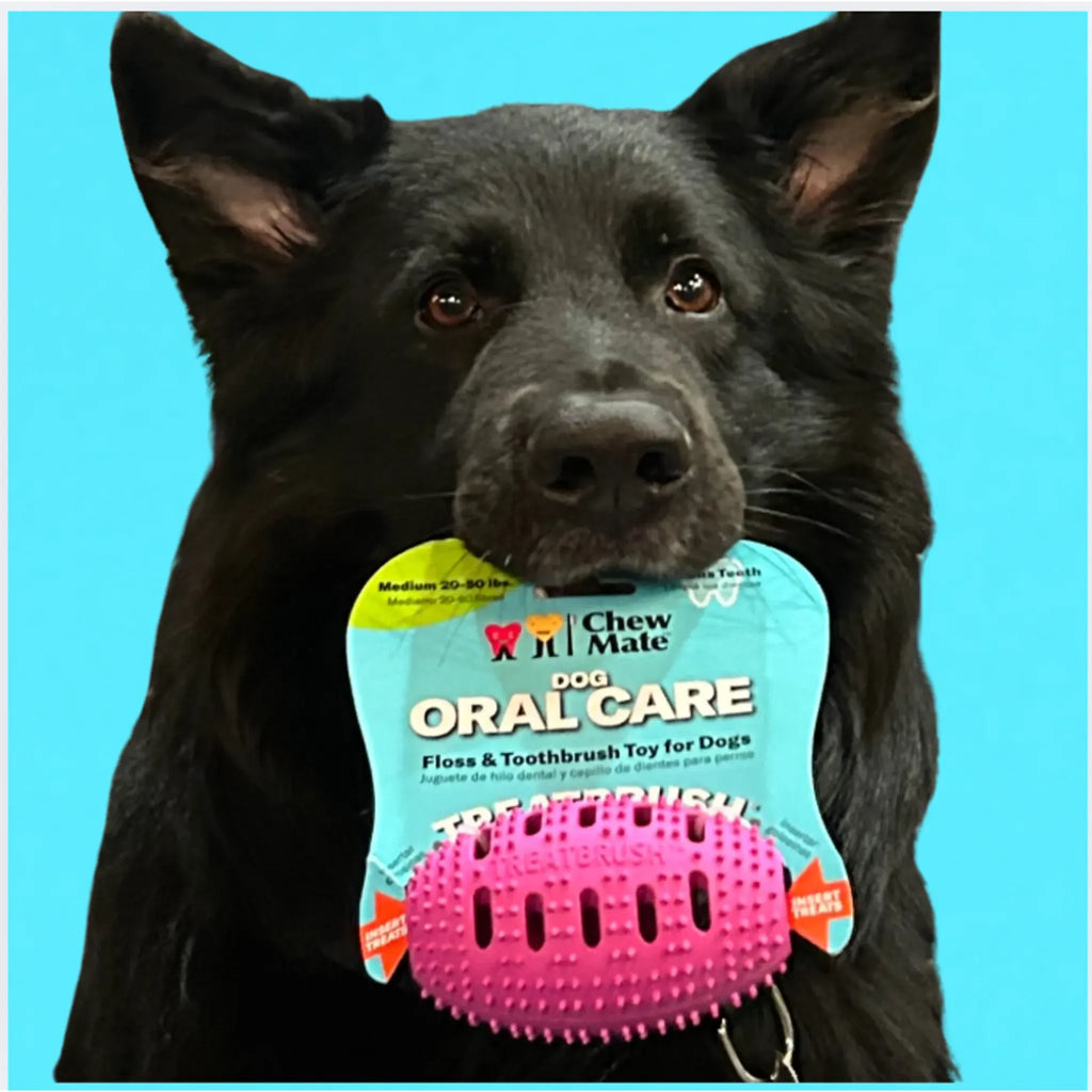 Natural Rubber Football Oral Care Toy | Dental Chew for Dogs | Chewmate