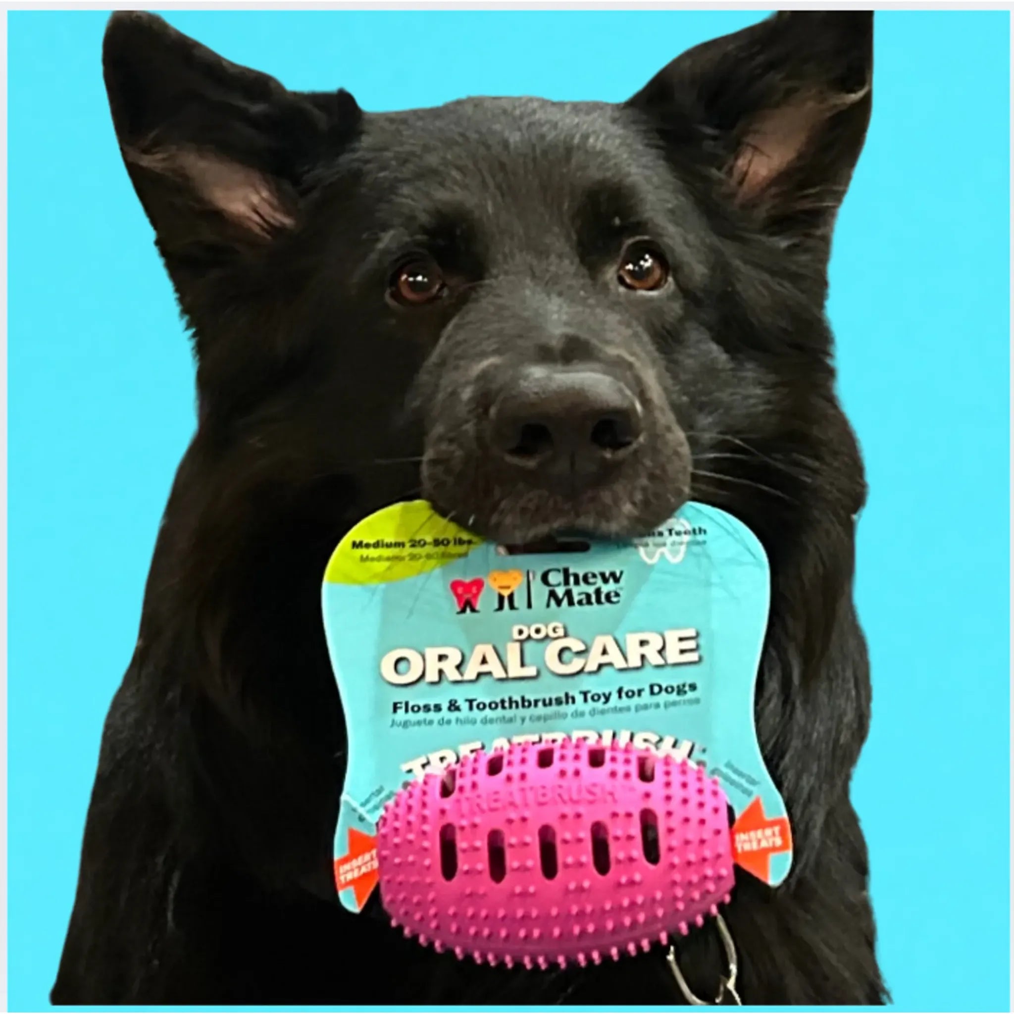 Natural Rubber Football Oral Care Toy | Dental Chew for Dogs | Chewmate