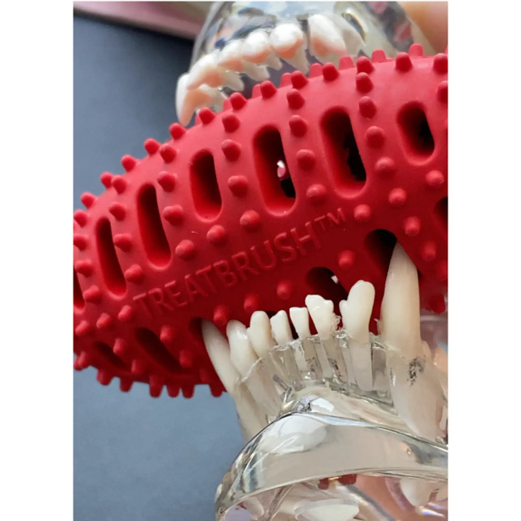 Natural Rubber Football Oral Care Toy | Dental Chew for Small Dogs & Puppies | ChewMate