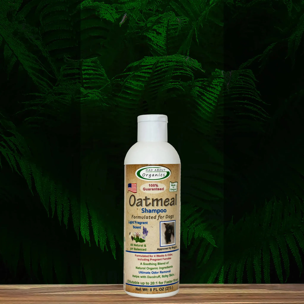 Oatmeal Shampoo for Dogs | Mad About Organics