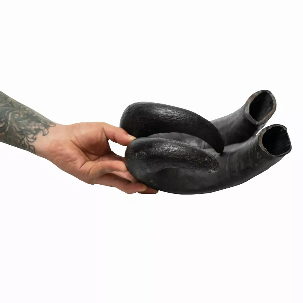 Water Buffalo Horn Dog Chews – 100% Natural, Long‑Lasting (2 Count, 15 oz) | Rozie’s Pet Supply