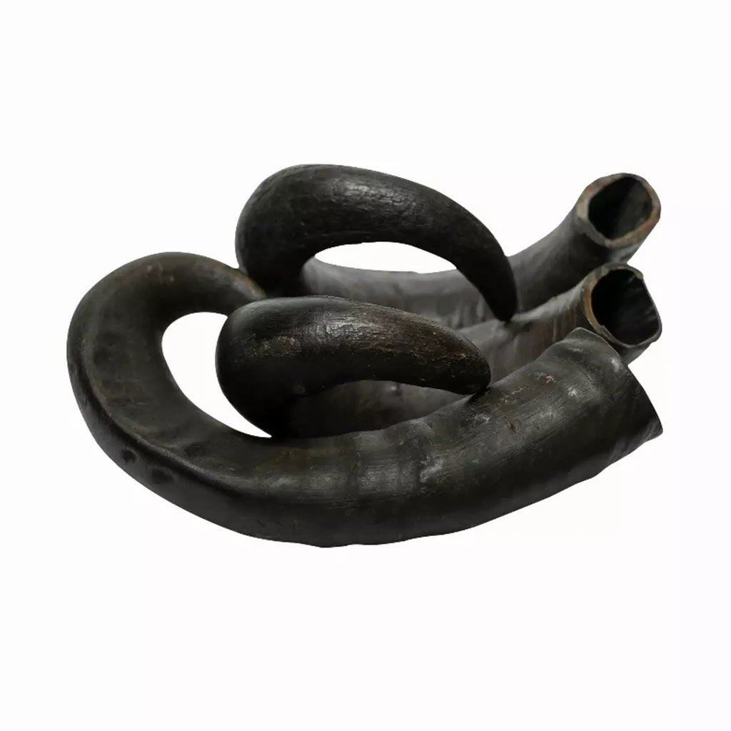 Water Buffalo Horn Dog Chews – 100% Natural, Long‑Lasting (2 Count, 15 oz) | Rozie’s Pet Supply