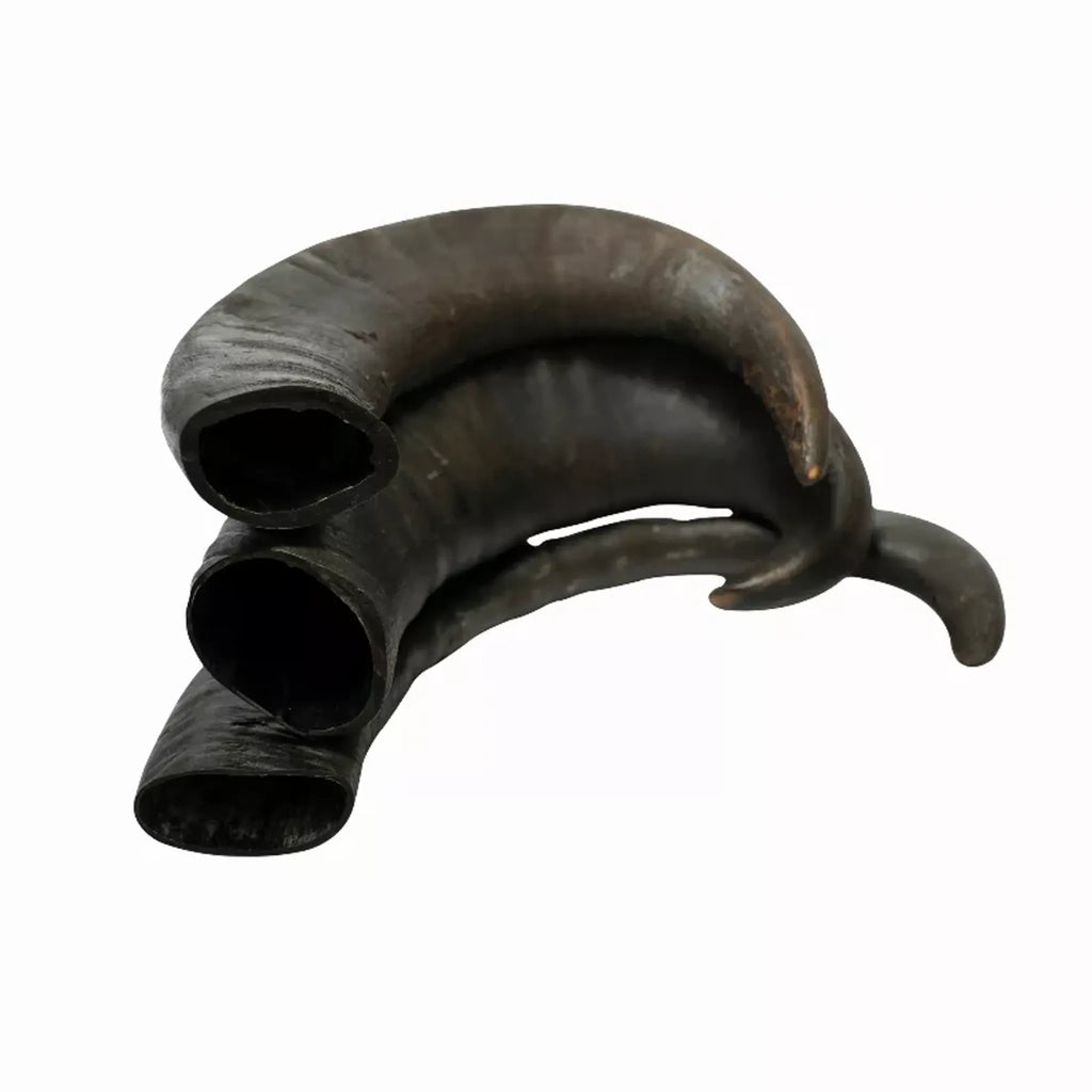 Water Buffalo Horn Dog Chews – 100% Natural, Long‑Lasting (2 Count, 15 oz) | Rozie’s Pet Supply