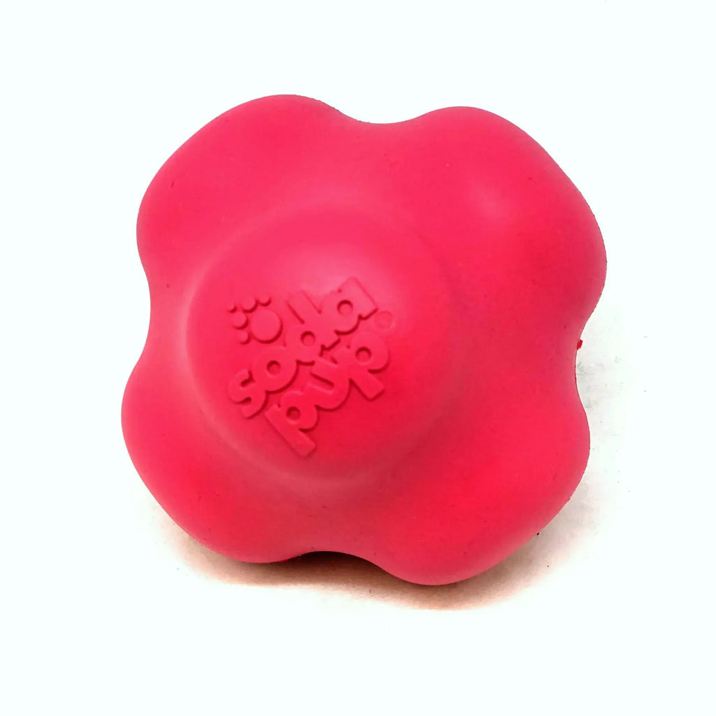 Crazy Bounce Ultra Durable Rubber Chew & Retrieving Toy | SodaPup