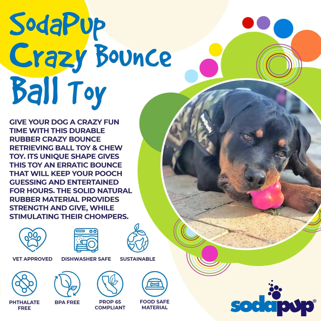 Crazy Bounce Ultra Durable Rubber Chew & Retrieving Toy | SodaPup