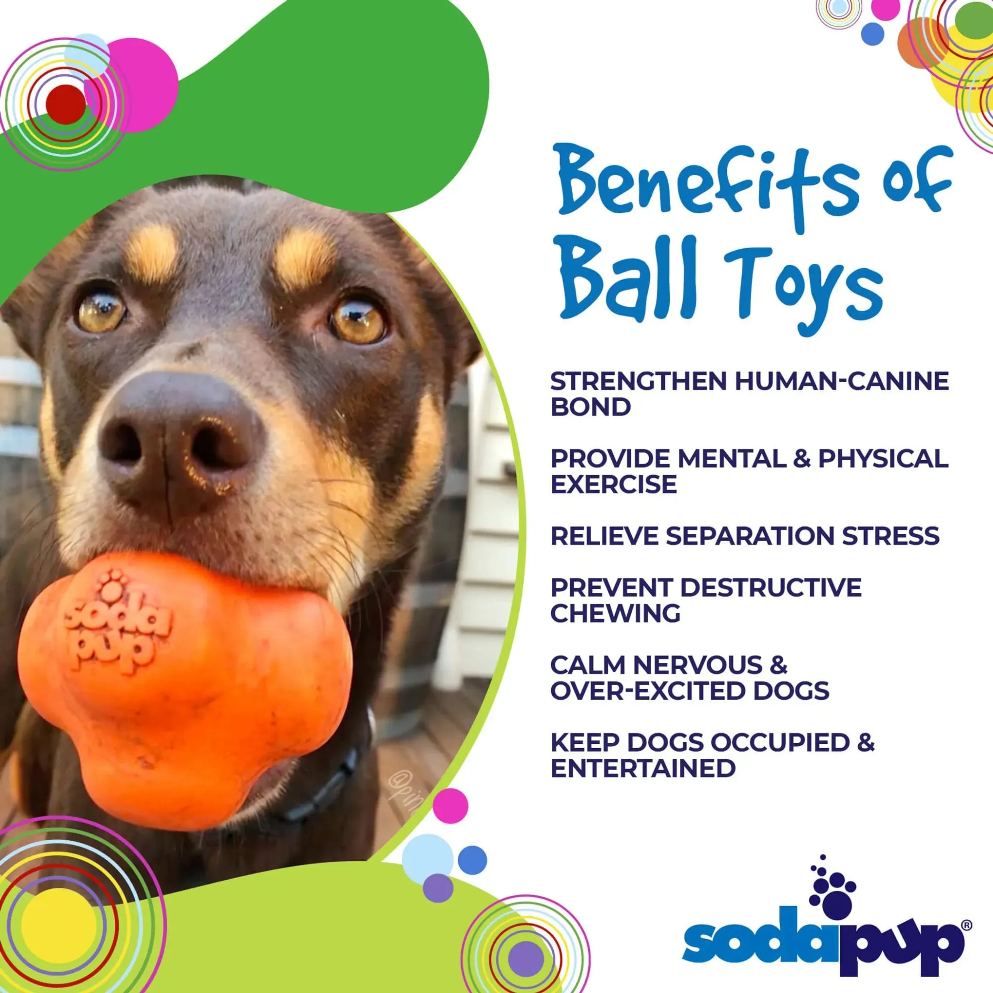 Crazy Bounce Ultra Durable Rubber Chew & Retrieving Toy | SodaPup