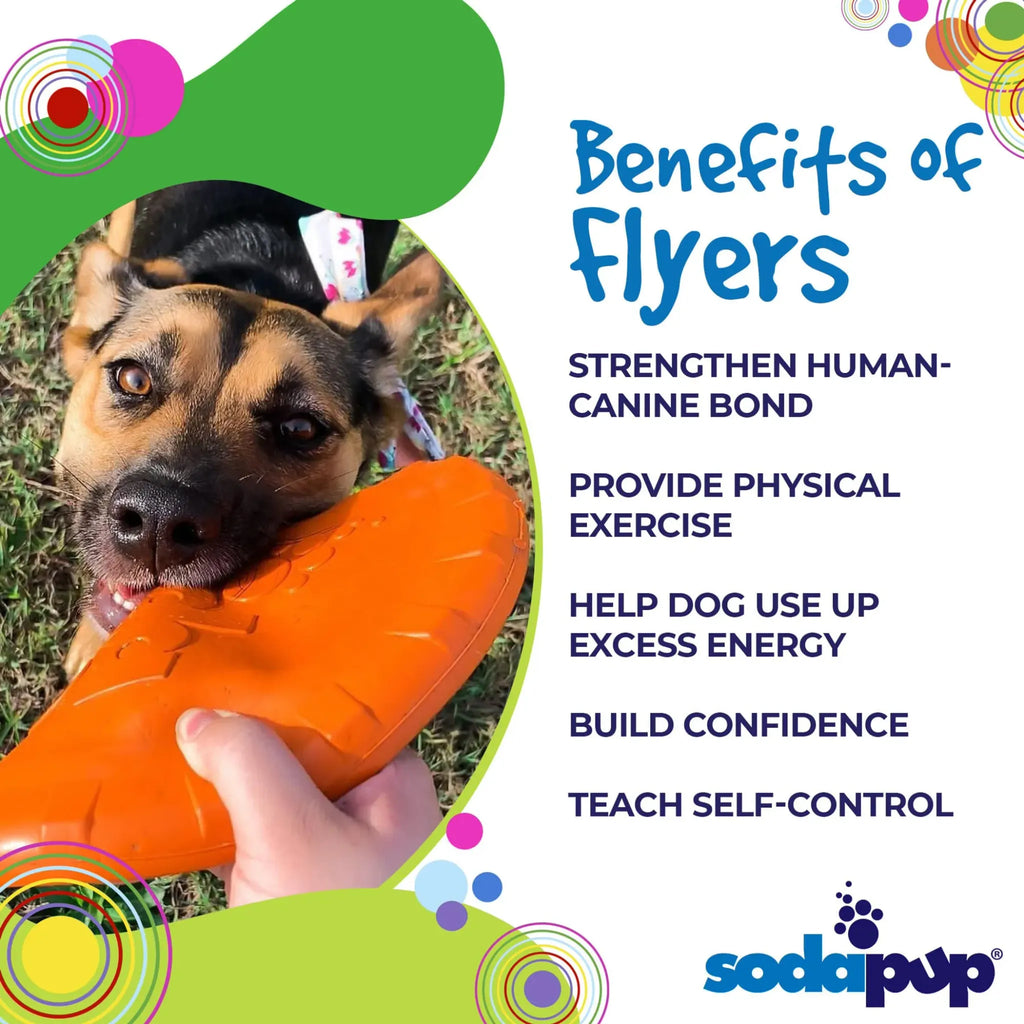 Bottle Top Flyer – Durable Rubber Retrieving Frisbee | SodaPup