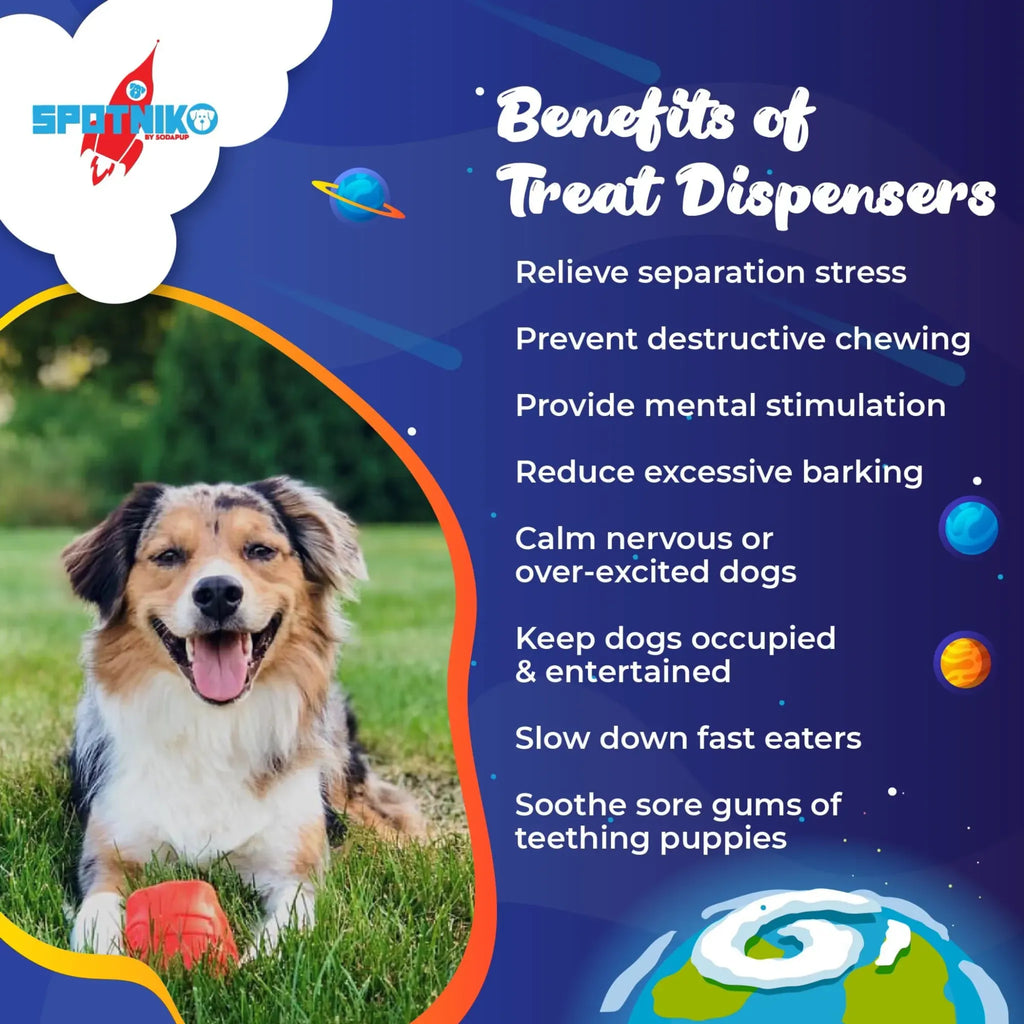 Rocketman Durable Rubber Chew & Treat Dispenser | SodaPup