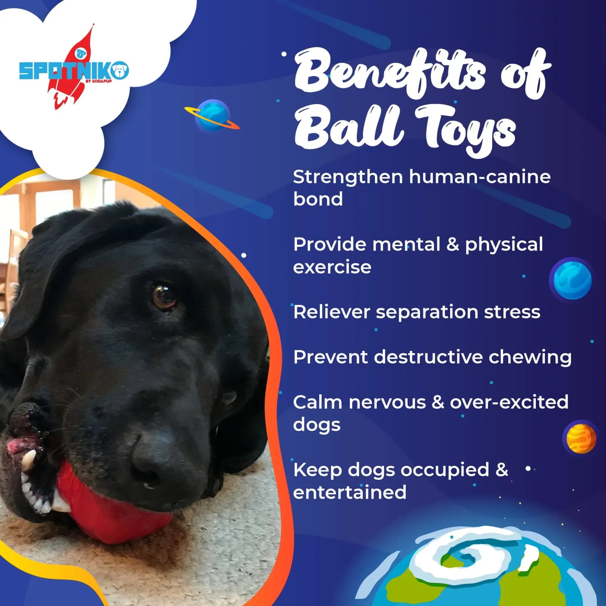 Asteroid Ultra‑Durable Rubber Chew & Retrieving Toy | SodaPup