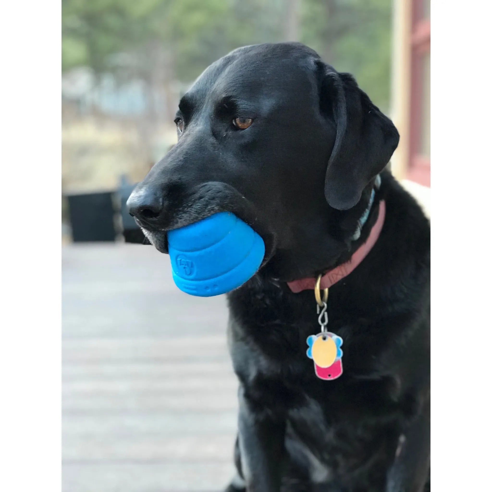 Space Capsule Dog Chew Toy & Treat Dispenser | SodaPup