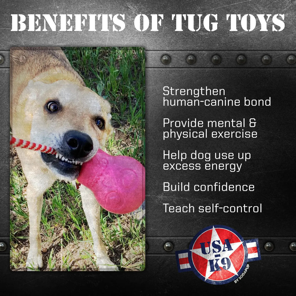 USA‑K9 Skull Dog Chew Toy & Treat Dispenser | SodaPup