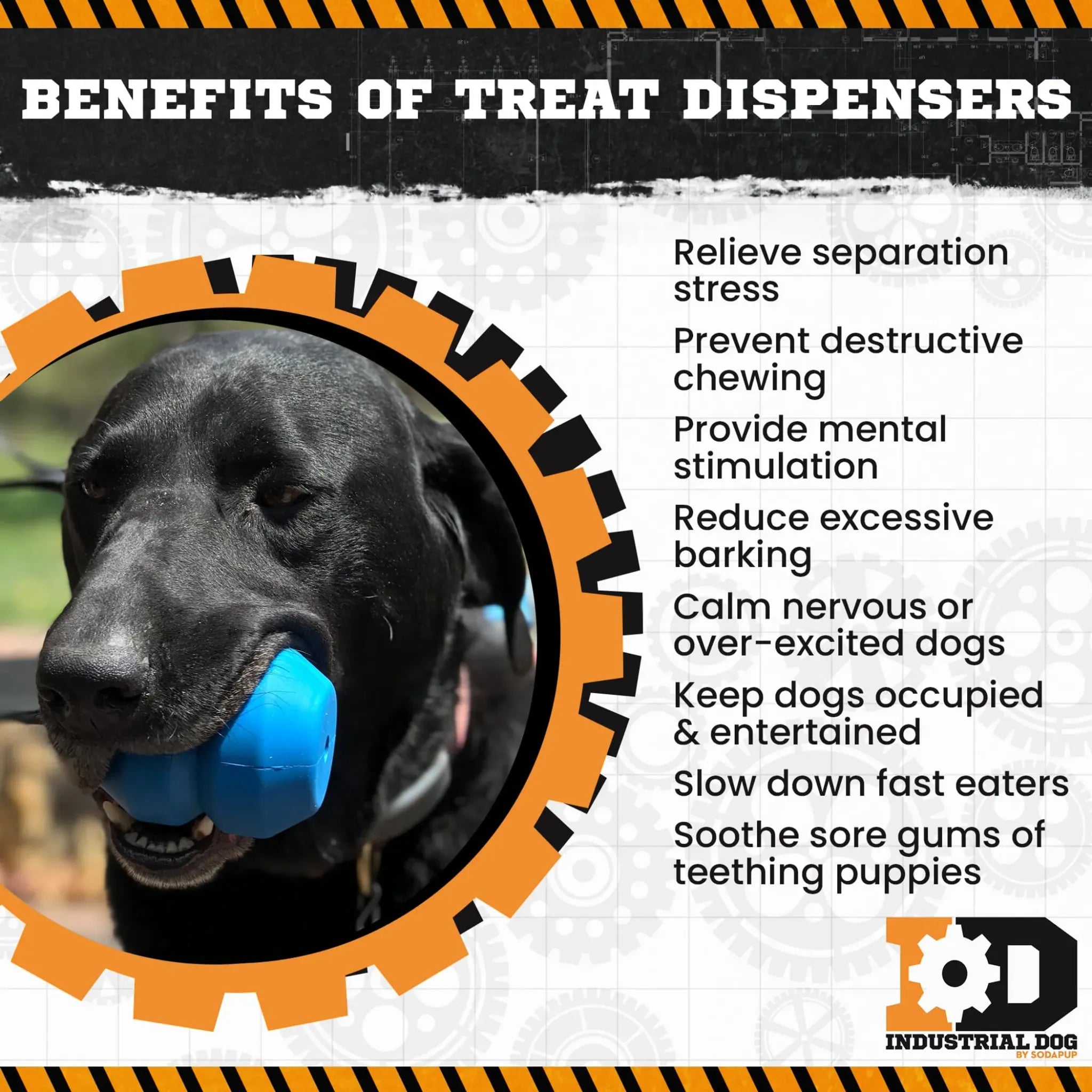 Double Trouble Dog Chew Toy & Dual‑Chamber Treat Dispenser | SodaPup