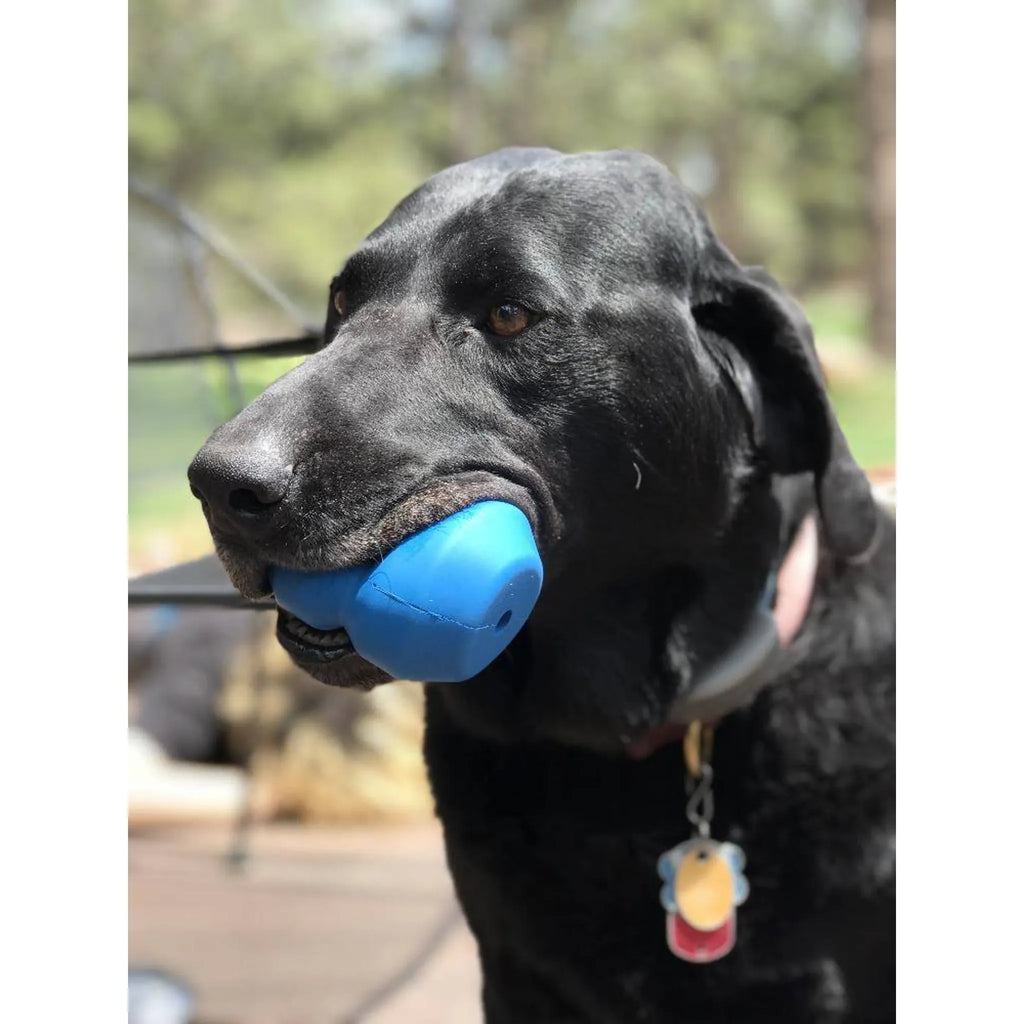 Double Trouble Dog Chew Toy & Dual‑Chamber Treat Dispenser | SodaPup
